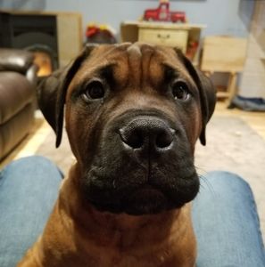 Meet your Posher, Steven